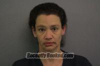 Recent Mugshot Image for Hollie Sue Koenig in Madison County, Nebraska