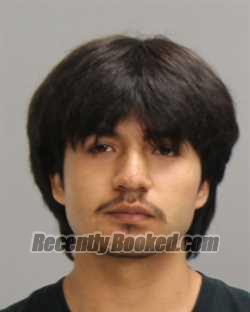 Recent Mugshot Image for MANUEL ALEJANDRO GALVAN in Brazos County, Texas