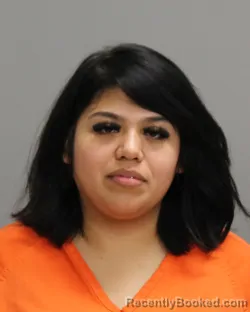 Recent Mugshot Image for NAYELI MARIAH ALONSO in Brazos County, Texas