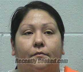 Recent Booking / Mugshot for TRISTA ARLENE SMITH in Elko County, Nevada