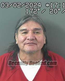 Recent Mugshot Image for RANDY LEE MIKE in Elko County, Nevada