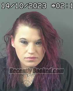 JESSICA ELIZABETH HOCKENBERRY Arrest Record & Booking Info – Elko ...