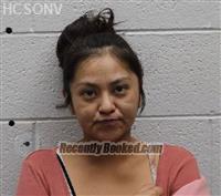 Recent Mugshot Image for NAOMI LEE TOM in Humboldt County, Nevada
