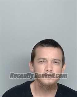 Recent Mugshot Image for DAVID L ICKE in Nye County, Nevada