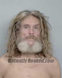 Recent Mugshot Image for BRIAN NELSON in Nye County, Nevada