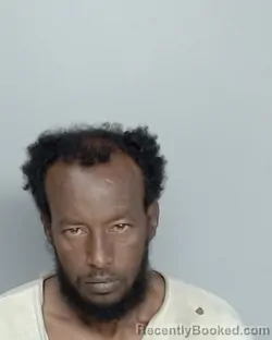 Recent Mugshot Image for FESSAHAYE GEBREHIWET in Nye County, Nevada