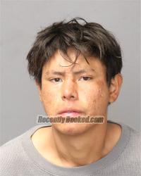 Recent Mugshot Image for Parker Lynn Witt in Bernalillo County, New Mexico