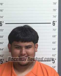 Recent Booking / Mugshot for SERGIO CARLOS SILGUERO in Curry County