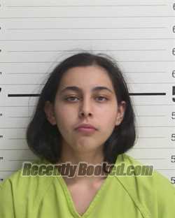 Recent Booking / Mugshot for LIZETH RAMIREZ MONDRAGON in Curry County