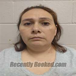 Recent Booking / Mugshot for ROCIO PEREZ HERNANDEZ in Brown County, Texas