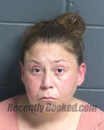 Recent Mugshot Image for TERRY MARIE MELON in Dona Ana County, New Mexico