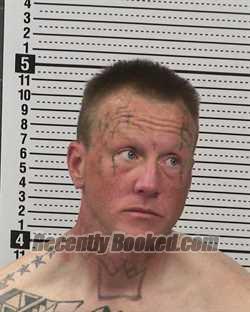 Recent Mugshot Image for DALLAS BERG in Dona Ana County, New Mexico