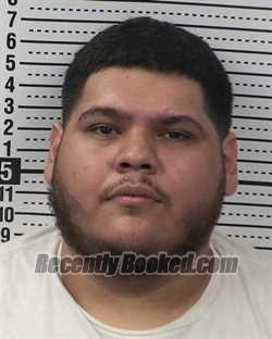 Recent Booking / Mugshot for DANNY JOE ROMERO in Dona Ana County, New ...