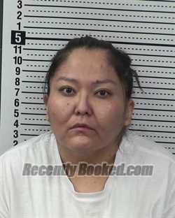 Recent Booking / Mugshot for MAYLENE JOHN in Dona Ana County, New Mexico