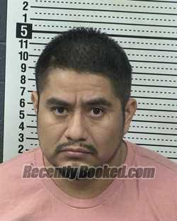 Recent Mugshot Image for FERNANDO ELEUTERIO-REYES in Dona Ana County, New Mexico