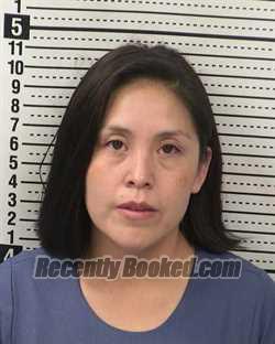 Recent Mugshot Image for BREE L COONSIS in Dona Ana County, New Mexico