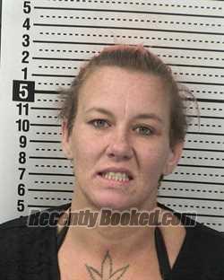 Recent Mugshot Image for CHARLENE MARIE SCRIBNER in Dona Ana County, New Mexico