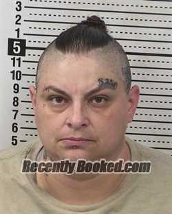 Recent Mugshot Image for LIZA YVONNE ROSALES in Dona Ana County, New Mexico