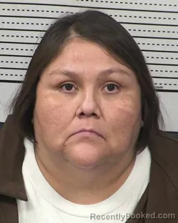 Recent Mugshot Image for CAMILLE DAMON in Dona Ana County, New Mexico