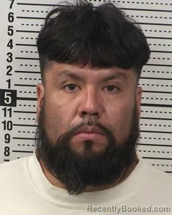Recent Mugshot Image for JUAN FLORES-ADAME in Dona Ana County, New Mexico