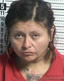 Recent Mugshot Image for AMANDA CARRILLO in Dona Ana County, New Mexico