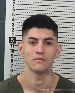 Recent Mugshot Image for RAUL ARRELLANO in Dona Ana County, New Mexico