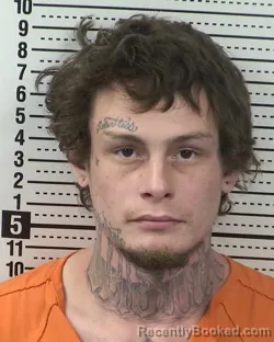 Recent Mugshot Image for AUSTIN BJORGO in Dona Ana County, New Mexico