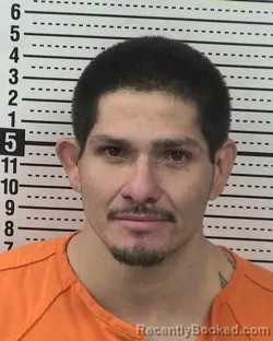 Recent Mugshot Image for RAUL E FIGUEROA in Dona Ana County, New Mexico