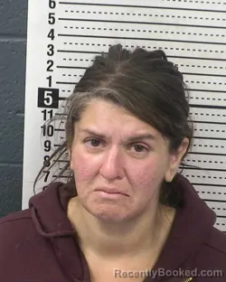 Recent Mugshot Image for BRENDA LEE PEREDERO in Dona Ana County, New Mexico