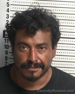 Recent Mugshot Image for BERNIE GONZALEZ in Dona Ana County, New Mexico