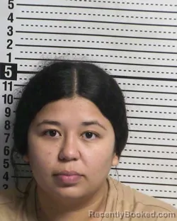 Recent Mugshot Image for EVELYN L GONZALEZ SOTO in Dona Ana County, New Mexico