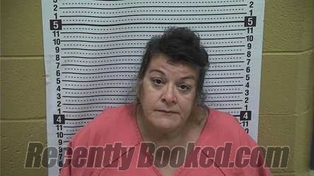 Recent Mugshot Image for LISA WILKEY in Grant County, New Mexico