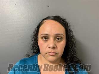 Recent Mugshot Image for Mallory Nicole Alvarado in Hardee County, Florida