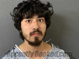 Recent Mugshot Image for Christopher Ryan Flores in Hardee County, Florida