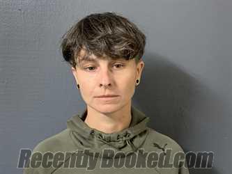 Recent Mugshot Image for Viktoriya Piscitelli in Hardee County, Florida