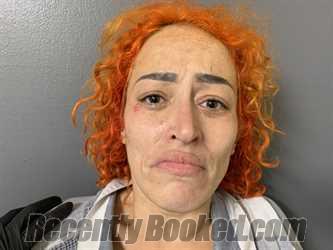Recent Mugshot Image for Lorraine L Serrano-Aviles in Hardee County, Florida