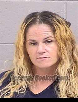Recent Mugshot Image for Jamie Lynn Dupuis in San Juan County, New Mexico