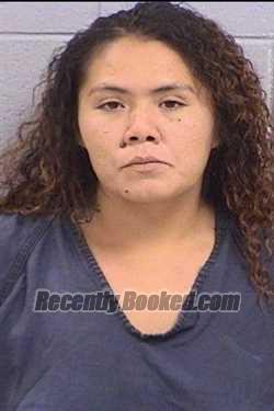 Recent Booking / Mugshot for Lana Buzzy Lopez in San Juan County, New
