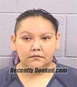 Recent Mugshot Image for Elizabeh Leanne Jahmi in San Juan County, New Mexico
