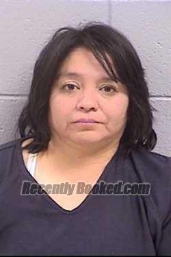 Recent Mugshot Image for Cheryl Lynn Belone-Edward in San Juan County, New Mexico
