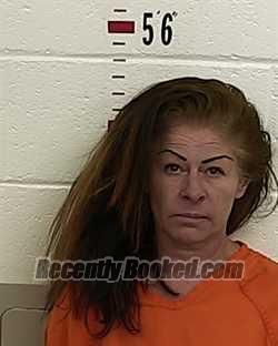 Recent Booking / Mugshot for LAURA SALAZAR in San Miguel County, New Mexico