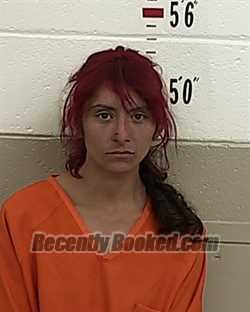 Recent Mugshot Image for DAVIN ANDREA MARTINEZ in San Miguel County, New Mexico