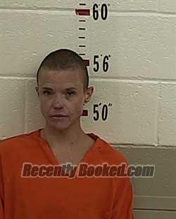 Recent Mugshot Image for STEPHANIE BERRY in San Miguel County, New Mexico