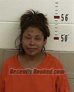 Recent Mugshot Image for SHENEE TSO in San Miguel County, New Mexico