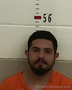 Recent Mugshot Image for WILLIE RAMON PAIZ in San Miguel County, New Mexico