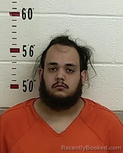 Recent Mugshot Image for DAVID JORGE SANCHEZ in San Miguel County, New Mexico