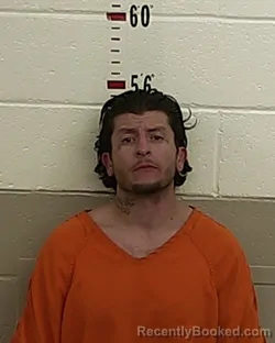 Recent Mugshot Image for JAMISON R GONZALES in San Miguel County, New Mexico