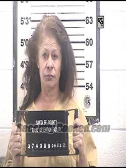Recent Booking / Mugshot for LAURA L SALAZAR in Santa Fe County, New Mexico