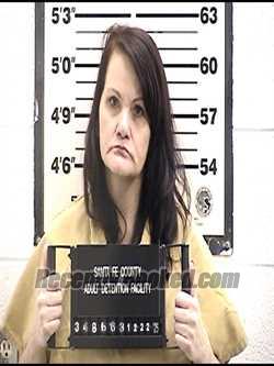 Recent Mugshot Image for MICHELE SAVINSKY in Santa Fe County, New Mexico