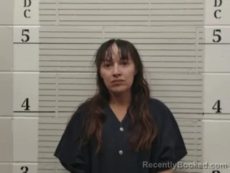 Recent Mugshot Image for Antoinette Jaramillo in Socorro County, New Mexico